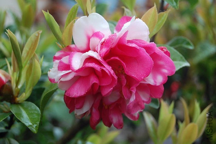 DSC_00240024.JPG