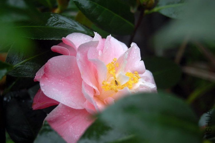 DSC_00440044.JPG