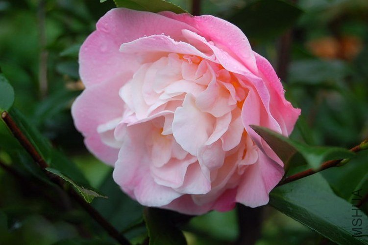 DSC_00640064.JPG