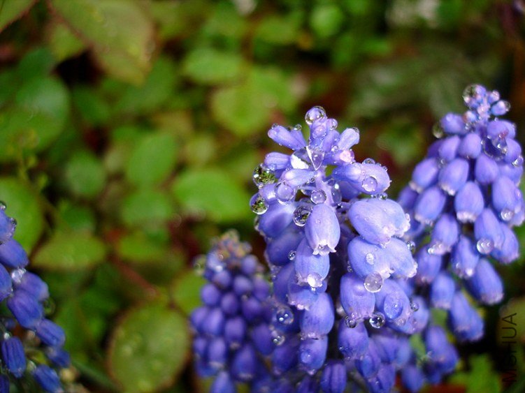 ˮ ���ѷ�2.jpg