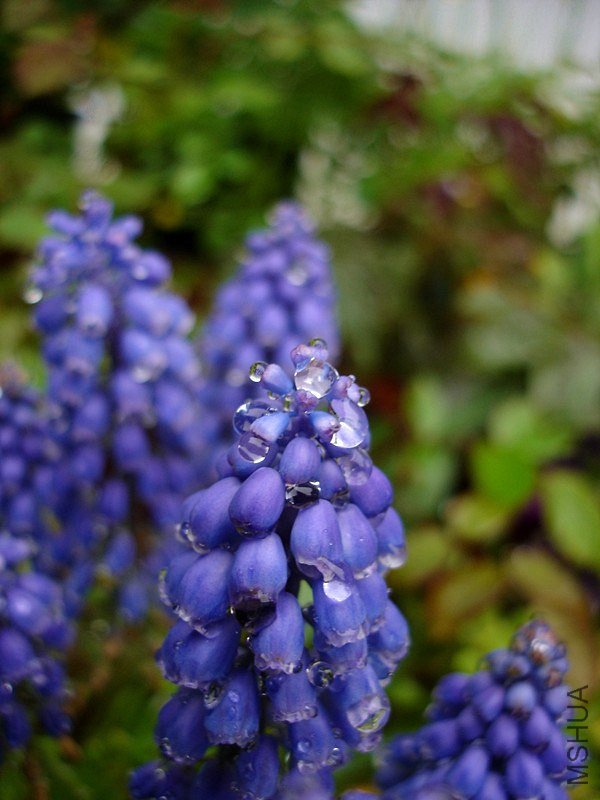 ˮ ���ѷ�3.jpg