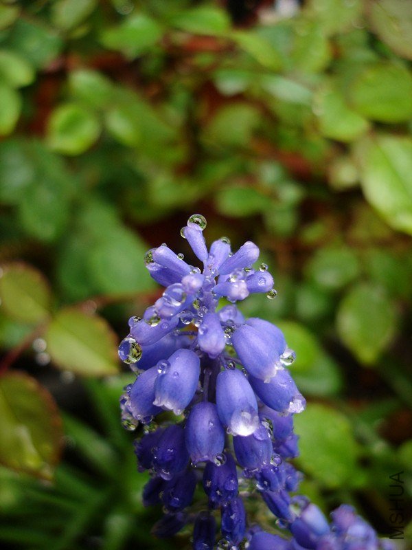 ˮ ���ѷ�.jpg