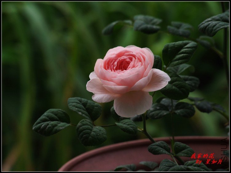 DSCF1320.jpg