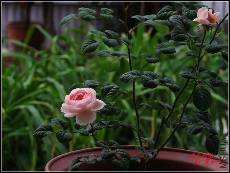 DSCF1318.jpg