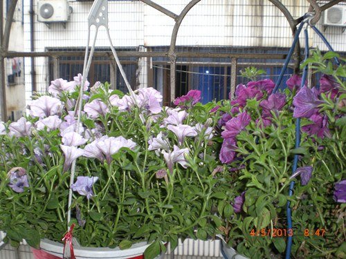 CIMG2758_����.jpg