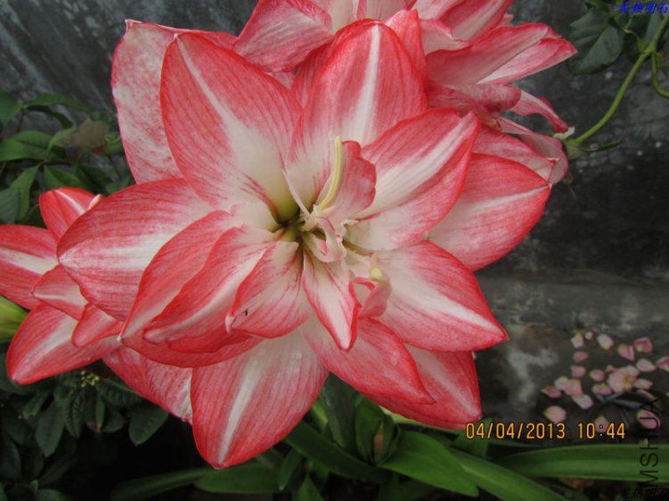 ����ڶ���