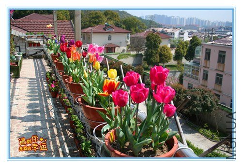 ��Ƭ 083_����.jpg