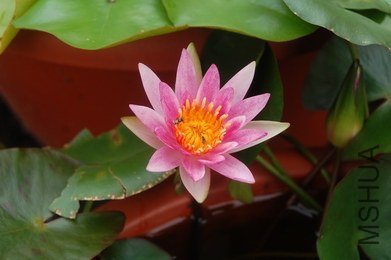 DSC_0019.JPG