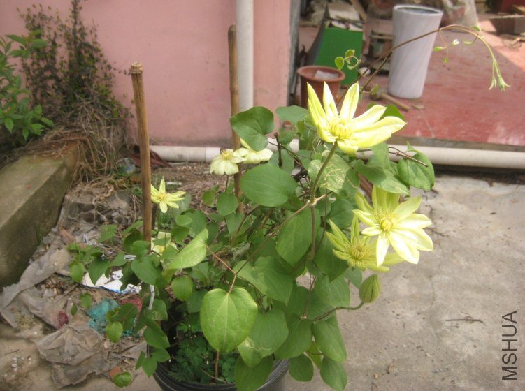 03.jpg
