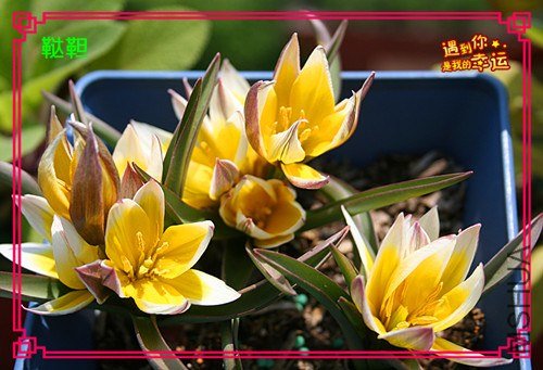 ��Ƭ 045_����.jpg