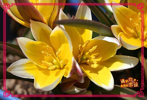 ��Ƭ 046_����.jpg