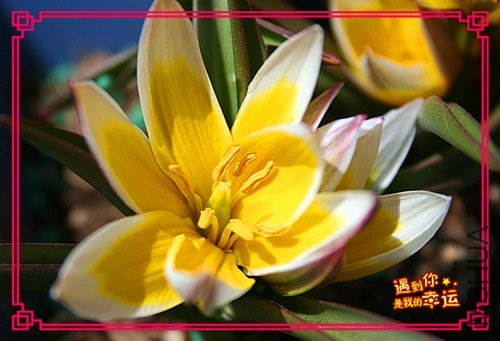 ��Ƭ 049_����.jpg