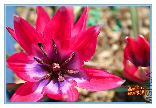 ��Ƭ 043_����.jpg