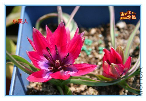 ��Ƭ 040_����.jpg