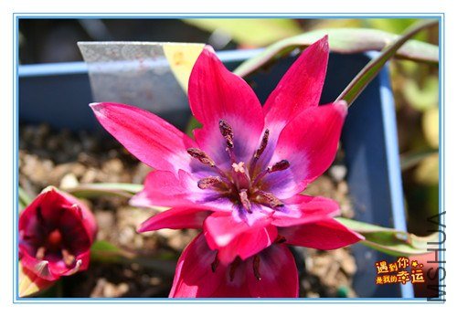 ��Ƭ 041_����.jpg