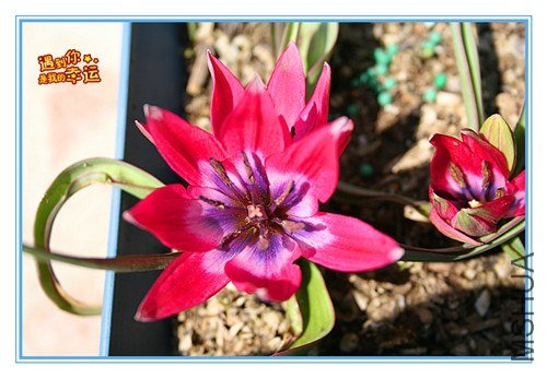 ��Ƭ 042_����.jpg