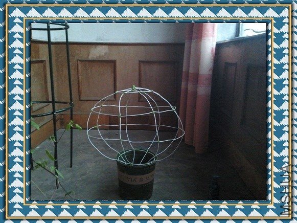 2013-04-05 07.06.44_����.jpg