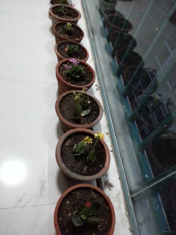 QQ��ͼ20130407191323.jpg
