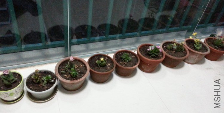 QQ��ͼ20130407191316.jpg