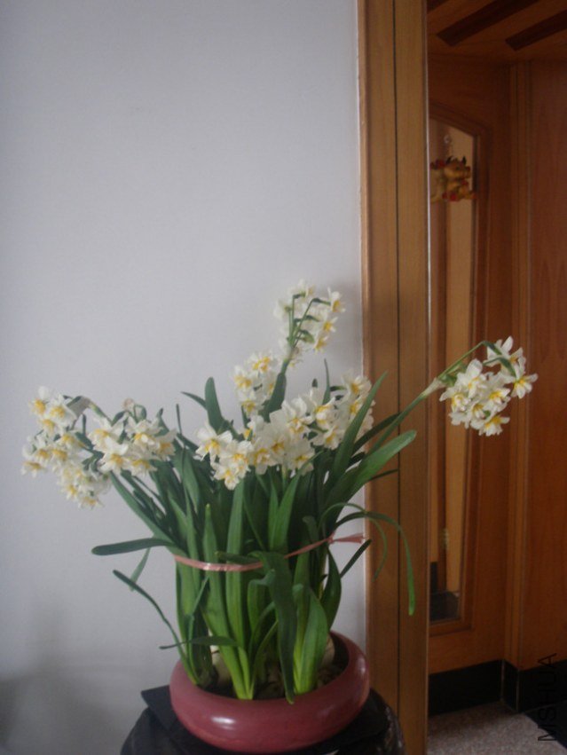 P1010936_����.jpg