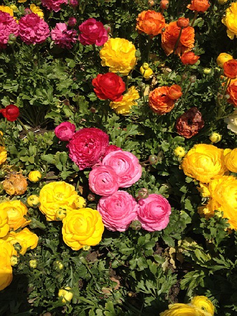��ת IMG_1508.jpg