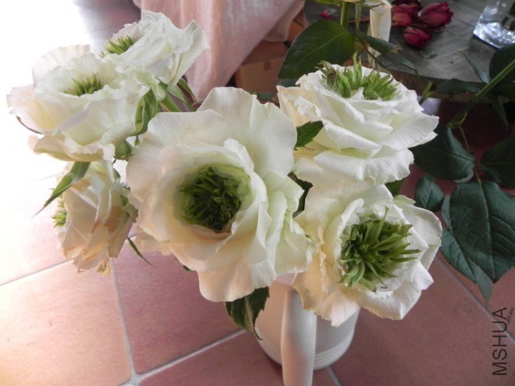 ���۾� (1).jpg