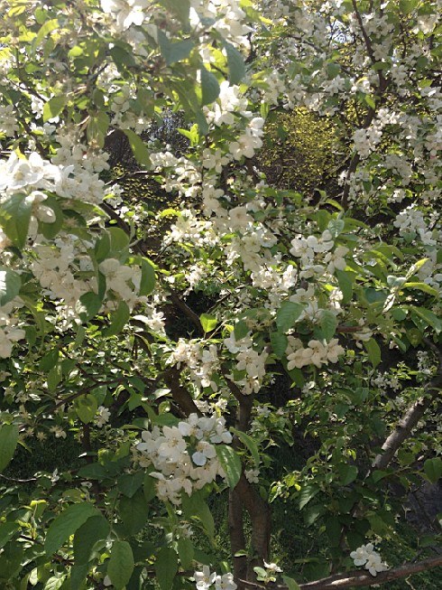 ��ת IMG_1530.jpg