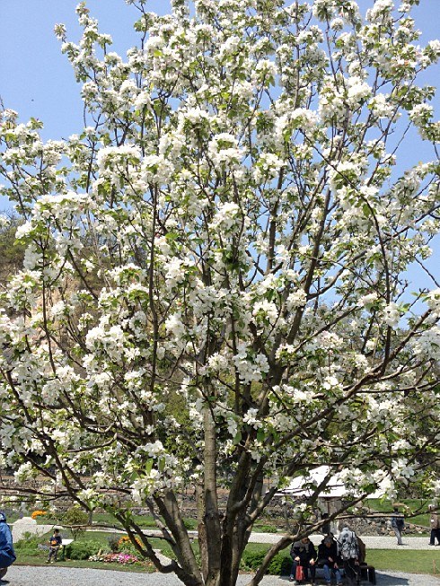 ��ת IMG_1552.jpg