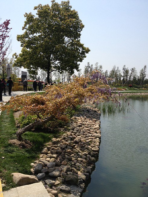 ��ת IMG_1545.jpg
