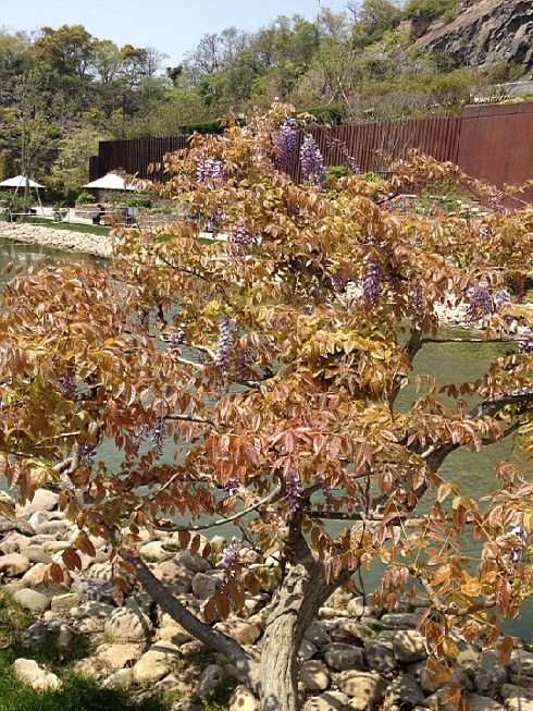 ��ת IMG_1546.jpg