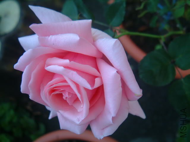 DSCF0308.jpg