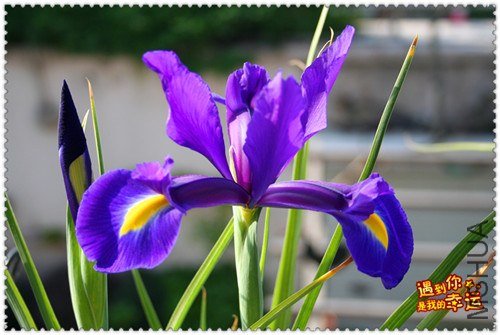 ��Ƭ 006_����.jpg