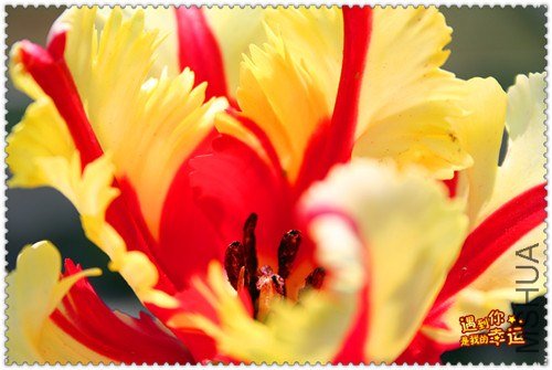 ��Ƭ 019_����.jpg