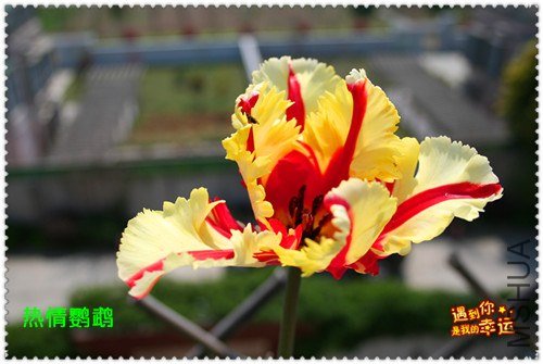 ��Ƭ 015_����.jpg