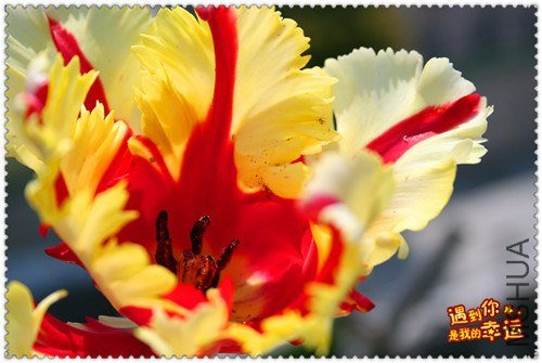 ��Ƭ 018_����.jpg