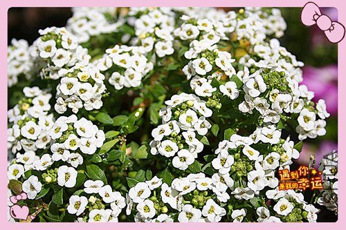 ��Ƭ 078_����.jpg