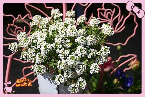 ��Ƭ 075_����.jpg