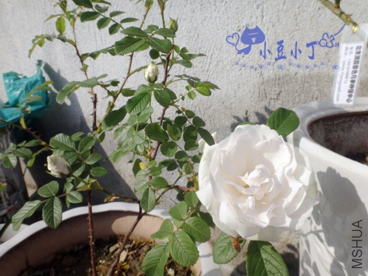 DSC01324.jpg