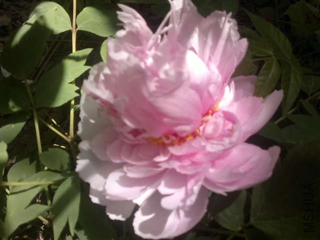 20130408348.jpg