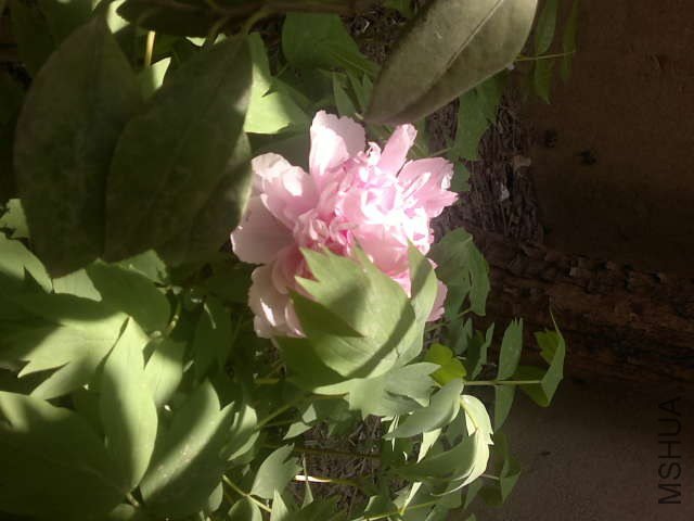 20130408349.jpg