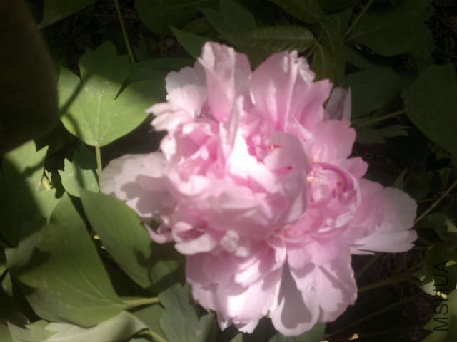 20130408350.jpg