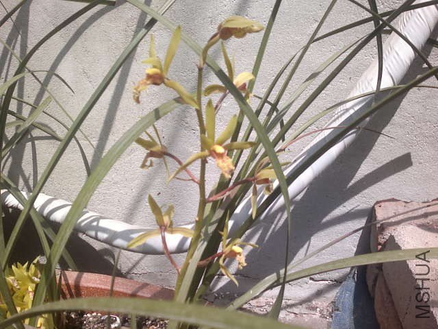 20130408358.jpg