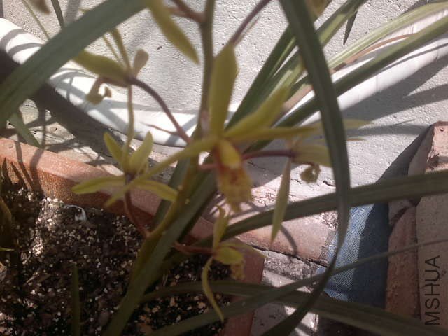 20130408359.jpg