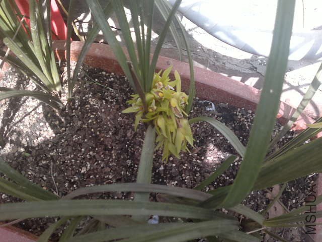 20130408360.jpg