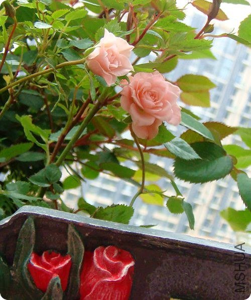 ��ô������ɫ���Ǻܻ�ԭ��ɫ�ģ��ӷ�ɫ��