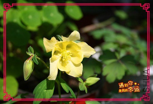 ��Ƭ 038_����.jpg