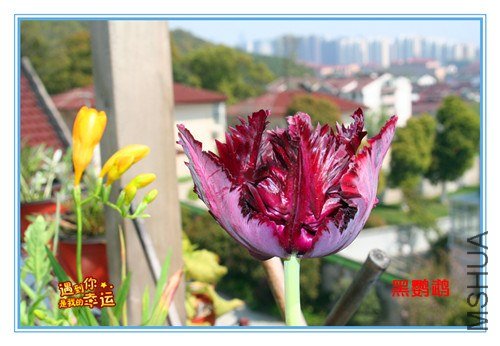 ��Ƭ 002_����.jpg