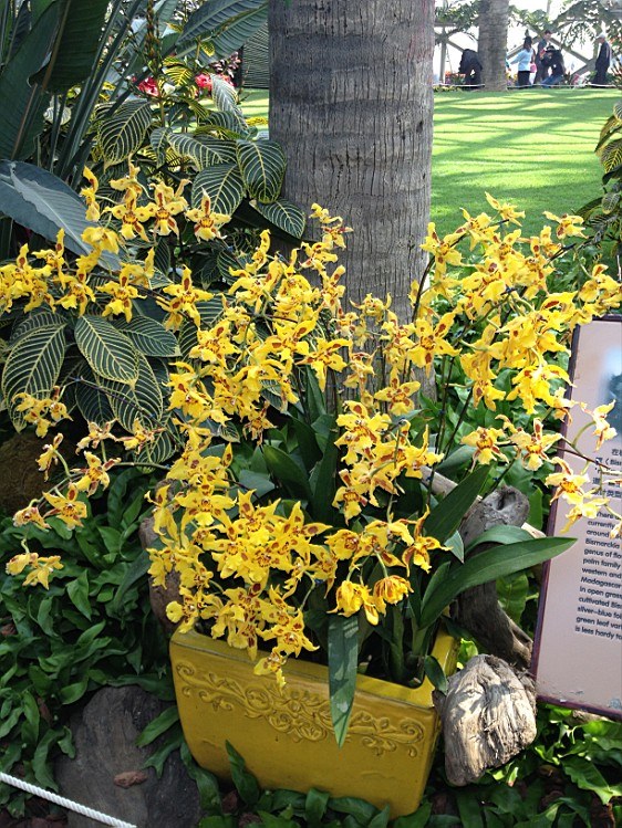 ��ת IMG_1586.jpg