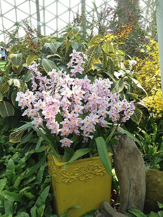 ��ת IMG_1587.jpg