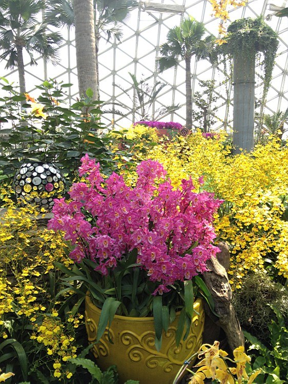 ��ת IMG_1589.jpg